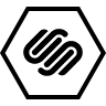 squarespace-social-icon